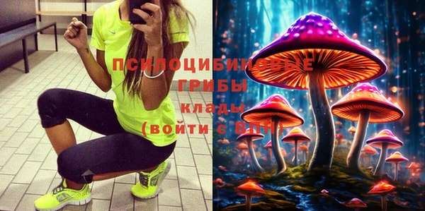 твердый Лагань