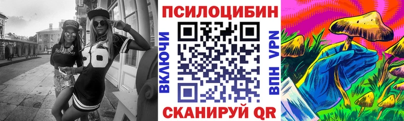 МЕГА как войти  Приозерск  Псилоцибиновые грибы ЛСД 
