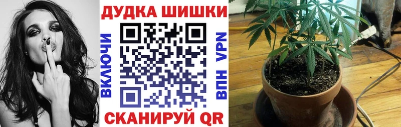blacksprut ссылки  Приозерск  Бошки Шишки Bruce Banner 